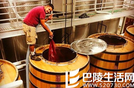 2016年加州采收季图片汇集