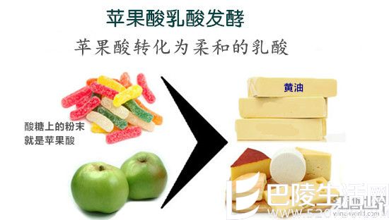 霞多丽的三行情书式浪漫 霞多丽的三行情书式浪漫