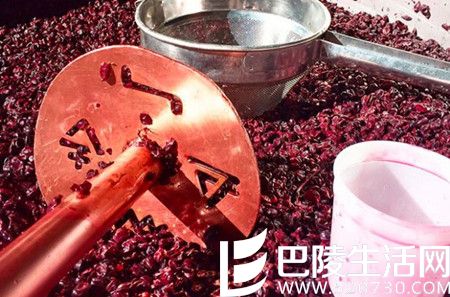 2016年加州采收季图片汇集