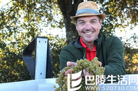 2016年加州采收季图片汇集