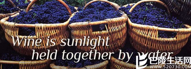 关于葡萄酒的10大名言，你听过吗？