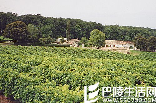 轻松学酒：给初学者的7条建议