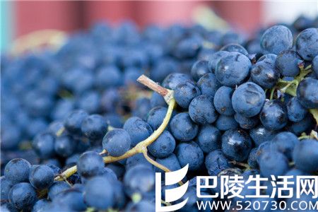 整串发酵：在乎的是质地，而非单宁