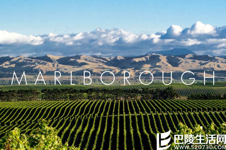 葡萄世界中的旧时光美人