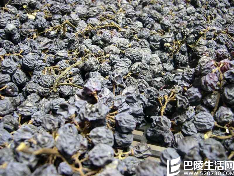 意大利顶级佳酿——阿玛罗尼全解密