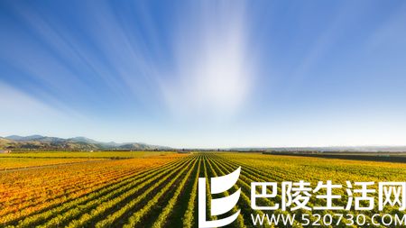 遇见新西兰,遇见美酒的天堂 遇见新西兰,遇见美酒的天堂
