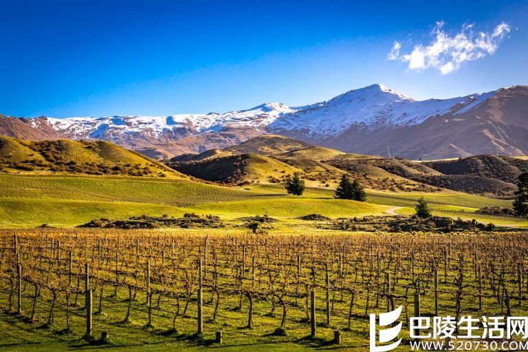 遇见新西兰,遇见美酒的天堂 遇见新西兰,遇见美酒的天堂