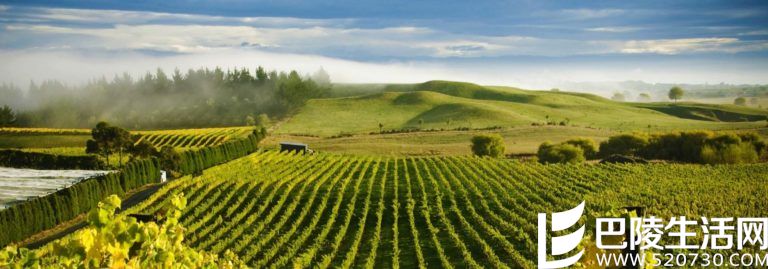 遇见新西兰,遇见美酒的天堂 遇见新西兰,遇见美酒的天堂