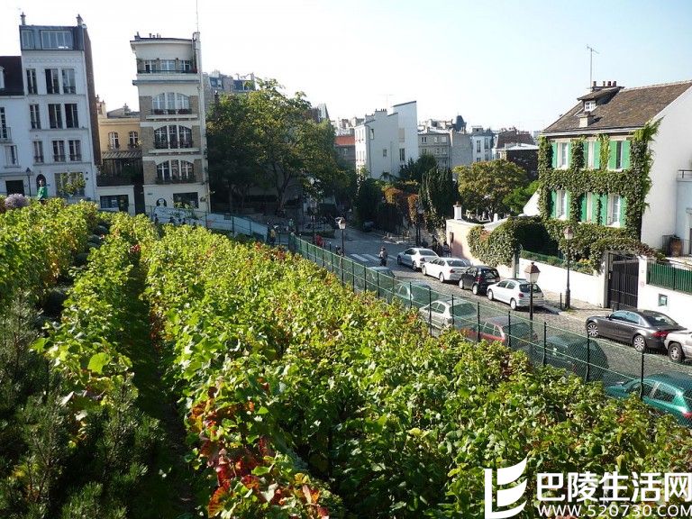 城市酒庄葡萄酒值得投资吗? 城市酒庄葡萄酒值得投资吗?