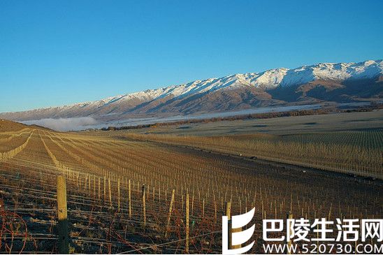 明星产区的成功之路