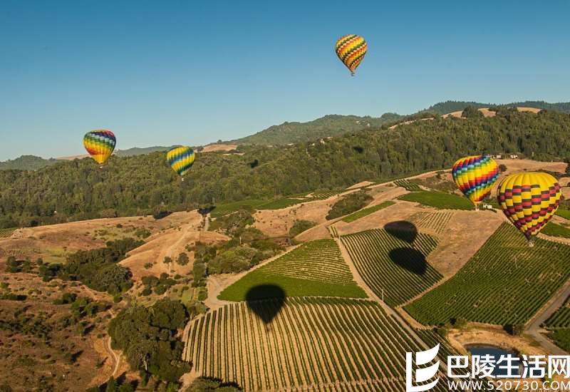 纳帕：美国现代葡萄酒产业的兴起之地