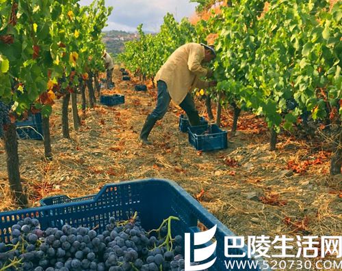 北半球秋收美景，尽在眼底