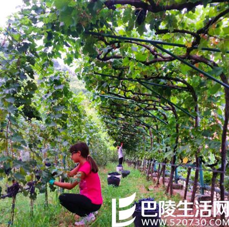 北半球秋收美景，尽在眼底