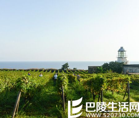 北半球秋收美景,尽在眼底 北半球秋收美景,尽在眼底