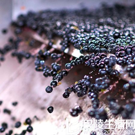 北半球秋收美景，尽在眼底