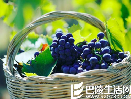 北半球秋收美景,尽在眼底 北半球秋收美景,尽在眼底