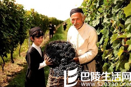 北半球秋收美景，尽在眼底