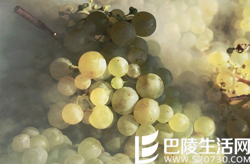 北半球秋收美景，尽在眼底