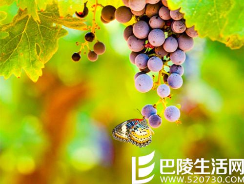 北半球秋收美景，尽在眼底