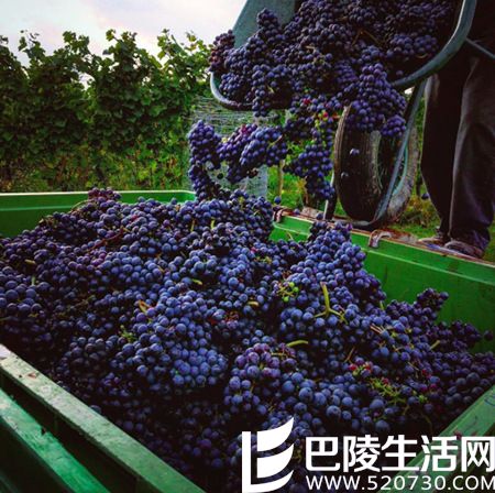 北半球秋收美景,尽在眼底 北半球秋收美景,尽在眼底