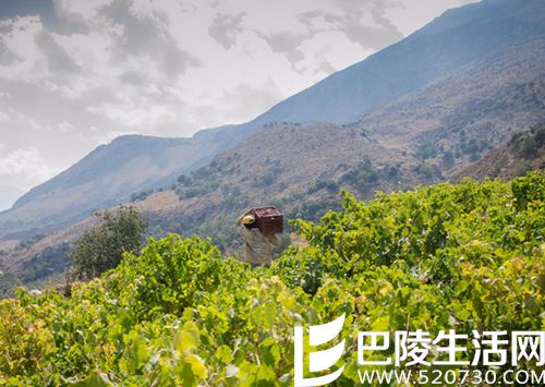 北半球秋收美景，尽在眼底