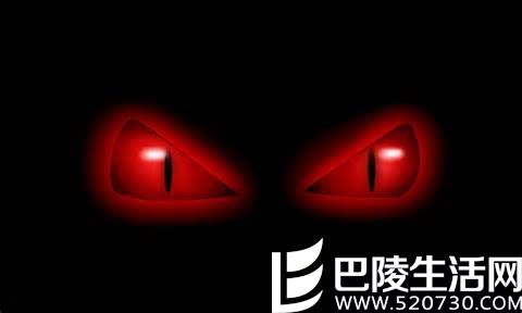 智利葡萄酒最亮的星——干露酒庄