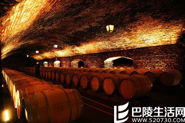 智利葡萄酒最亮的星——干露酒庄
