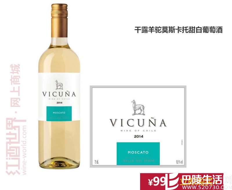 智利葡萄酒最亮的星——干露酒庄