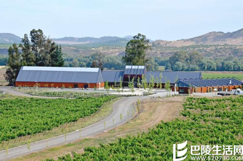 智利葡萄酒的5个独到之处