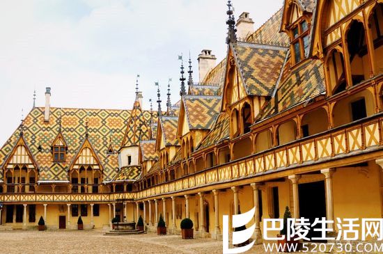 酒庄中的“红十字会” 酒庄中的“红十字会”