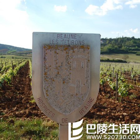 酒庄中的“红十字会” 酒庄中的“红十字会”