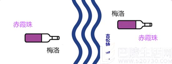 说说波尔多两大葡萄和五大酒庄