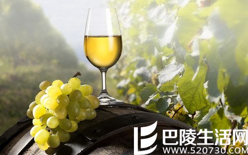 葡萄酒的骨架——酸度