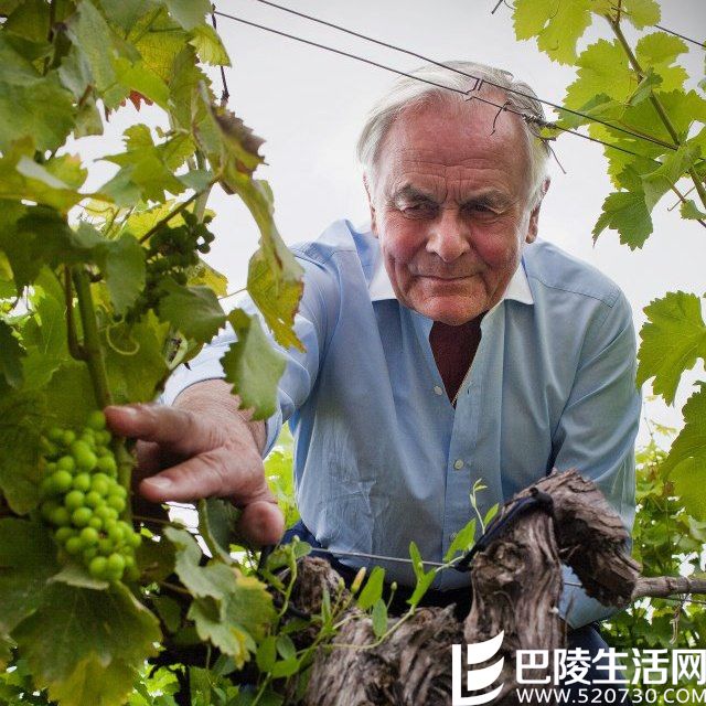 红酒世界专访贝尔纳·马格雷——“永不放弃”的酒业巨擘 红酒世界专访贝尔纳·马格雷——“永不放弃”的酒业巨擘