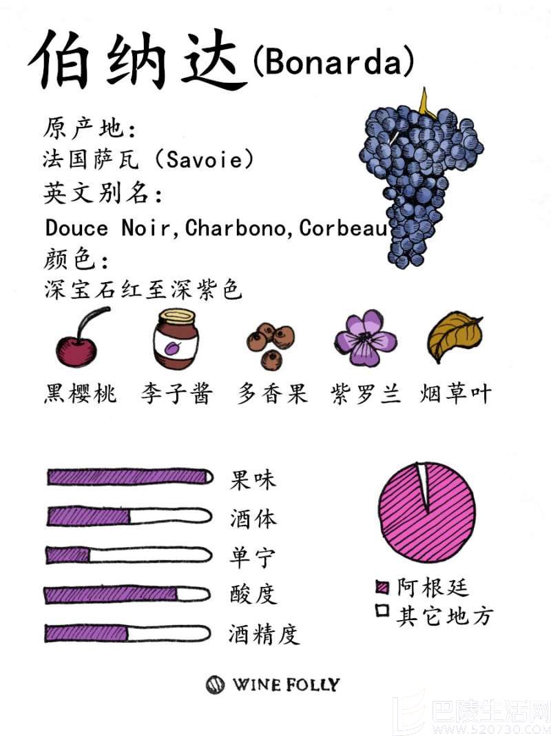 除了马尔贝克，阿根廷还有伯纳达