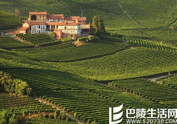 意大利的ABC葡萄酒,你喝过吗? 意大利的ABC葡萄酒,你喝过吗?