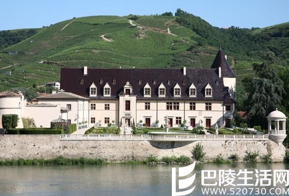 今日美图——醉美葡萄酒乡罗讷河谷