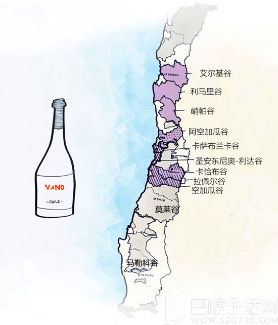 尝尝7大智利葡萄酒