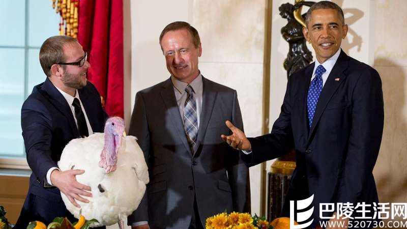 欢聚感恩节,一起度过曼妙时光 欢聚感恩节,一起度过曼妙时光