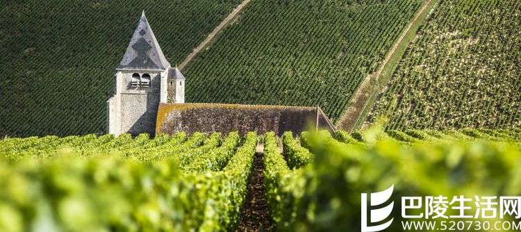 走进勃艮第名村 走进勃艮第名村