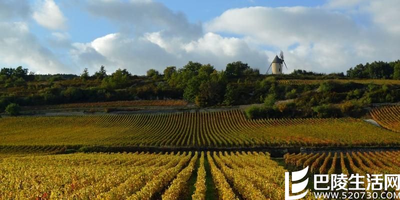 走进勃艮第名村