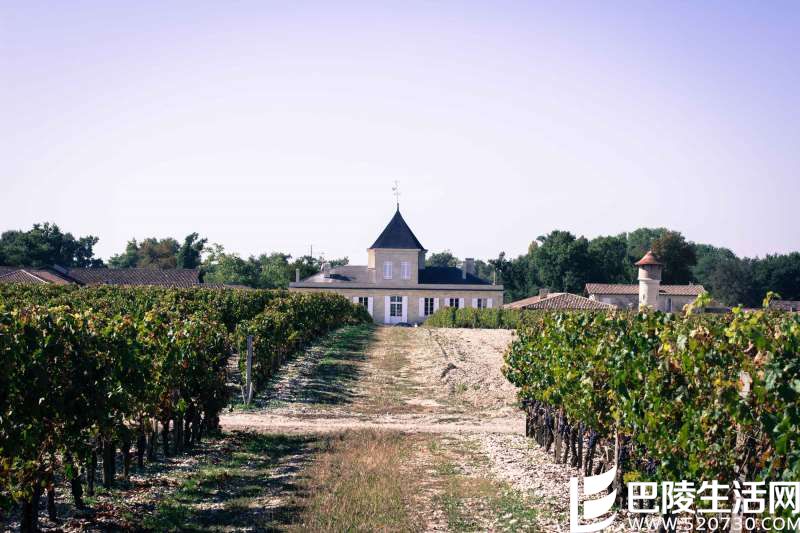 波尔多1855列级庄酒庄建筑图（上）