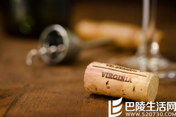 关于弗吉尼亚州你应该知道的5件事儿