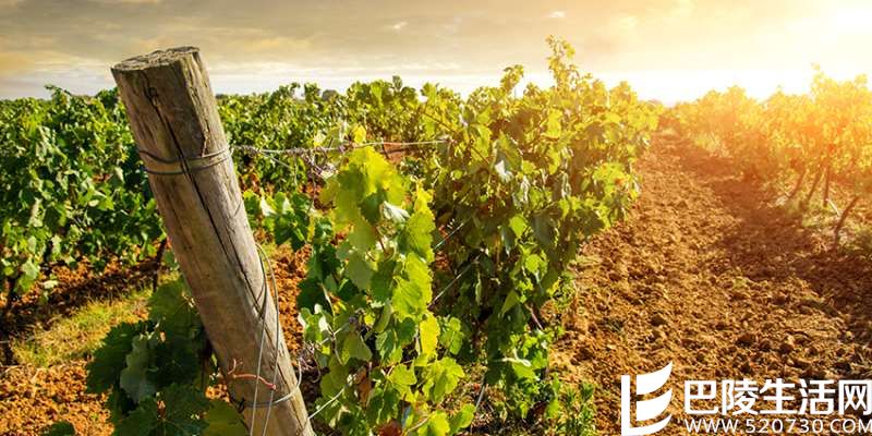 关于弗吉尼亚州你应该知道的5件事儿