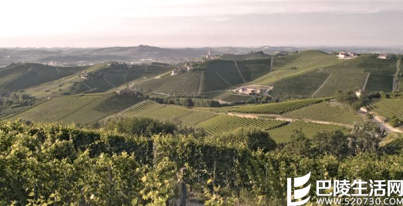 《葡萄酒观察家》2016百大名酒第6、第5名出炉! 《葡萄酒观察家》2016百大名酒第6、第5名出炉!