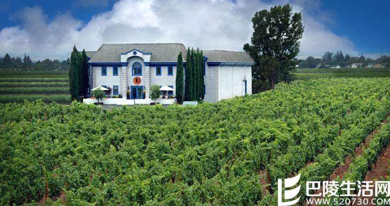 《葡萄酒观察家》2016百大名首名居然是它！