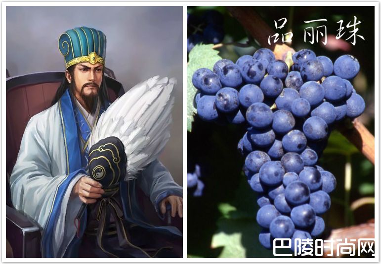 脑洞大开：《三国演义》主要人物与葡萄的配对