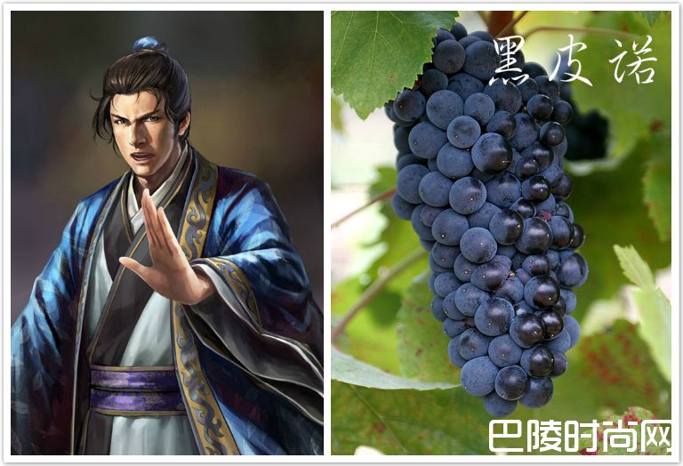 脑洞大开：《三国演义》主要人物与葡萄的配对