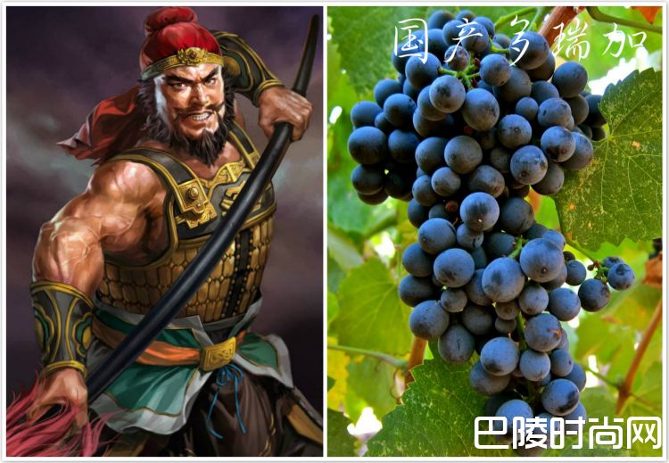 脑洞大开：《三国演义》主要人物与葡萄的配对