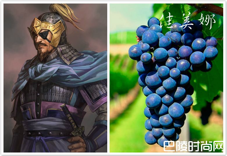 脑洞大开:《三国演义》主要人物与葡萄的配对 脑洞大开:《三国演义》主要人物与葡萄的配对